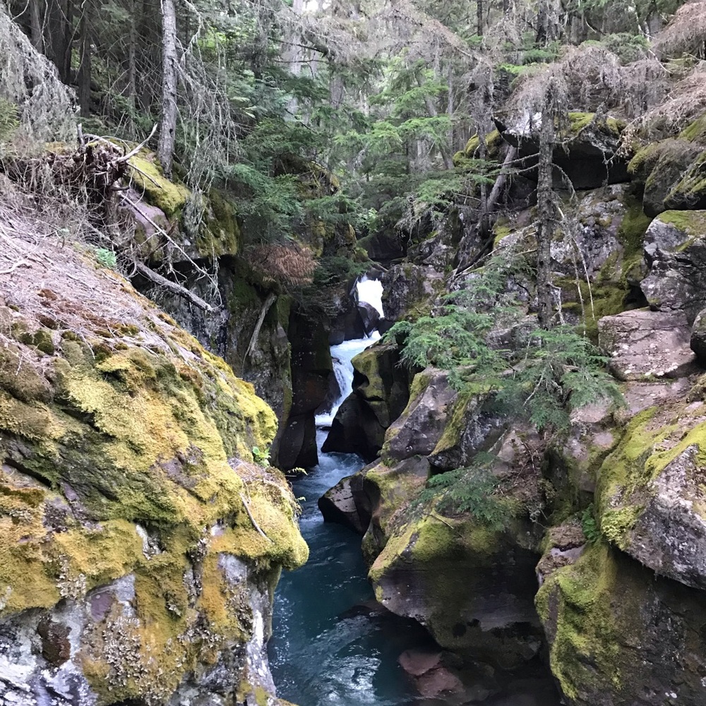 Meet your Posher, Sawyer garrett